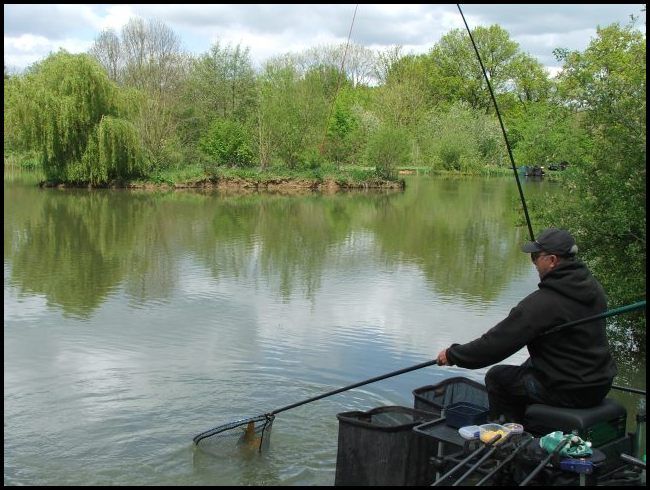 Clive brings a carp to the waiting net