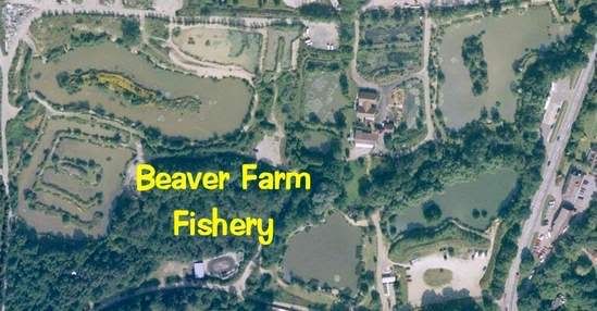 BeaverFarmFishery.jpg picture by pnm123