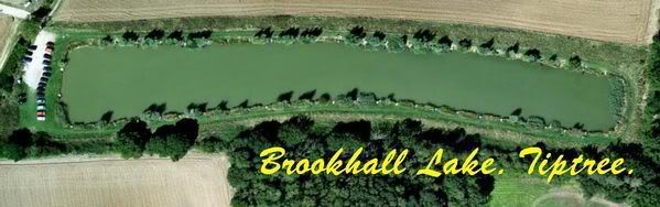 BrookhallLakeTiptree.jpg Brookhall Lake. Tiptree. picture by pnm123