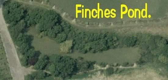 FinchesPond.jpg Hartleylands, Finches Pond picture by pnm123