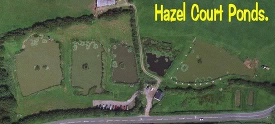 HazelCourtPonds.jpg picture by pnm123