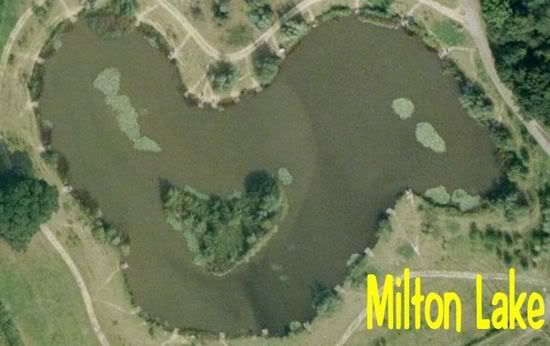 MiltonLake.jpg picture by pnm123