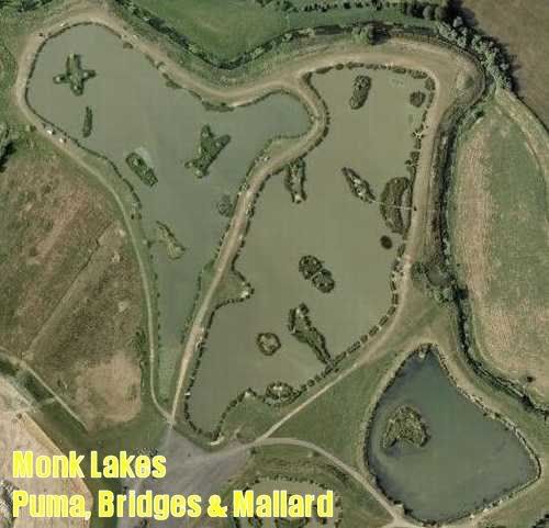 MonkLakes.PumaBridgesandSpecimen.jpg picture by pnm123