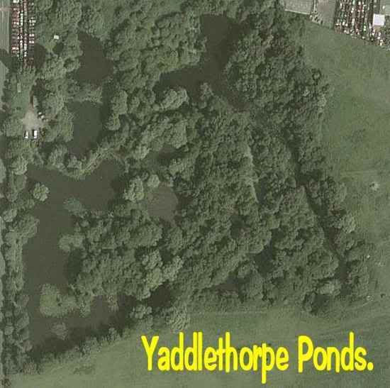 YaddlethorpePonds.jpg picture by pnm123