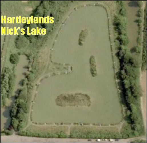 nickslake.jpg Nick's Lake at Hartleylands picture by pnm123