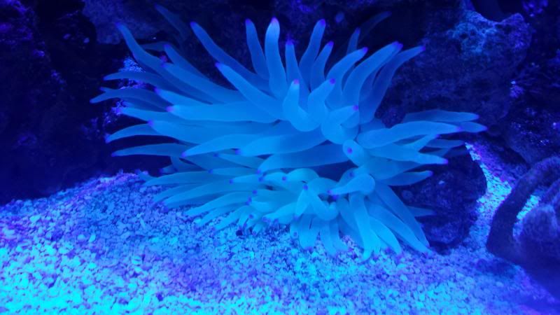 20130803_000929.jpg