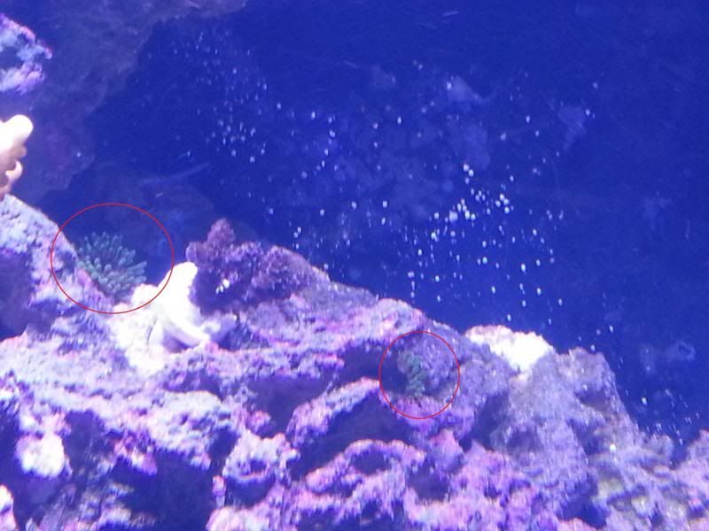 20131108_152530.jpg