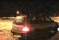 Forester_Motion2.gif