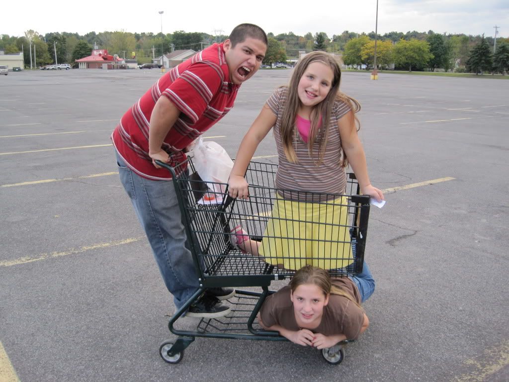 SH shopping cart