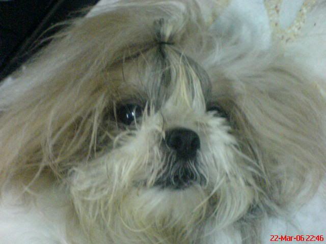 Image hosting by Photobucket