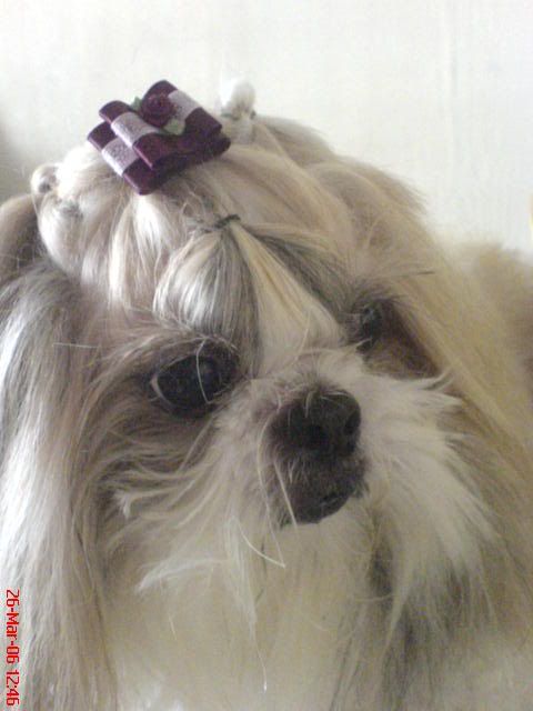 Image hosting by Photobucket