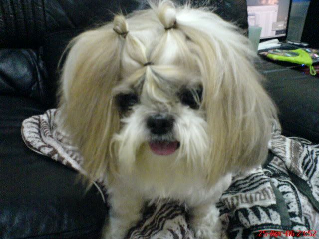 Photobucket - Video and Image Hosting