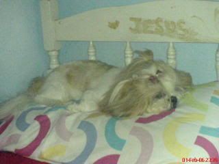 Image hosting by Photobucket