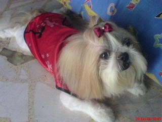 Image hosting by Photobucket