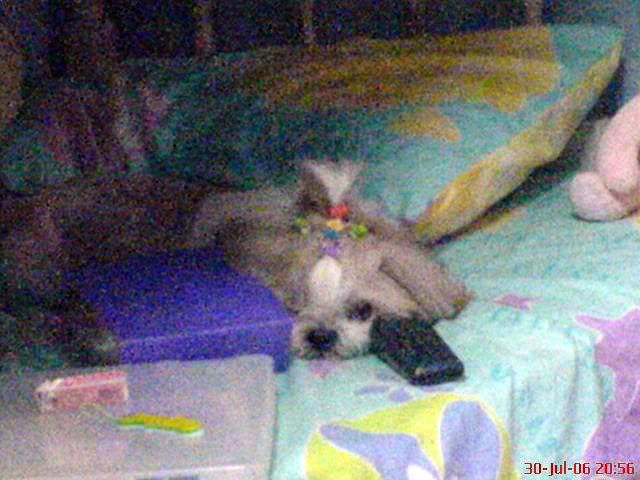 Photobucket - Video and Image Hosting