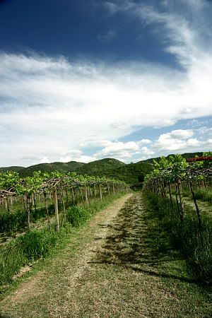 Image hosting by Photobucket