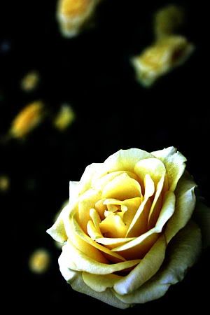 Image hosting by Photobucket