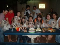 Image hosted by Photobucket.com