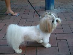 Image hosted by Photobucket.com