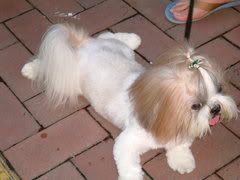 Image hosted by Photobucket.com