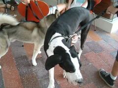 Image hosted by Photobucket.com