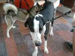 Image hosted by Photobucket.com