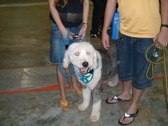 Image hosted by Photobucket.com