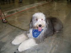 Image hosted by Photobucket.com