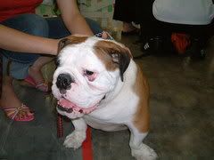 Image hosted by Photobucket.com