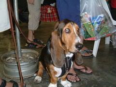 Image hosted by Photobucket.com