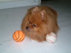 Image hosted by Photobucket.com