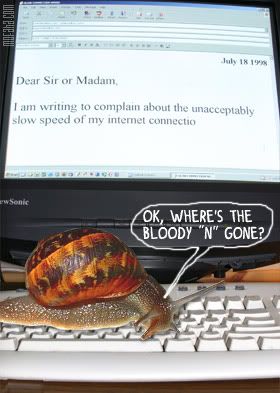 snailtyping.jpg