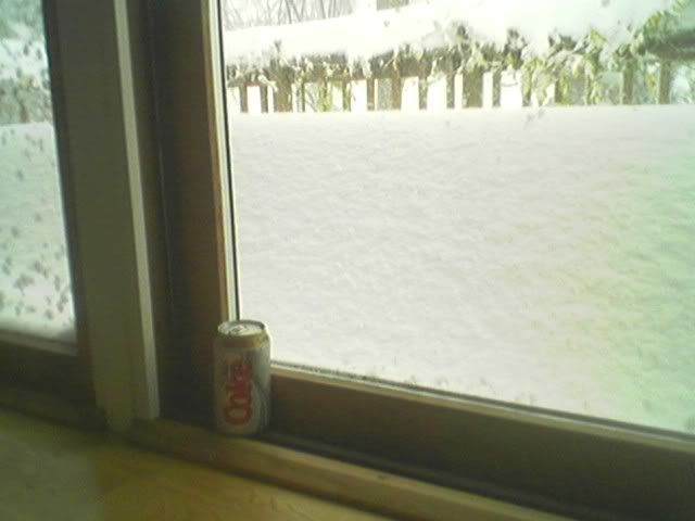 http://img.photobucket.com/albums/v79/x_iliohan/Snow1.jpg