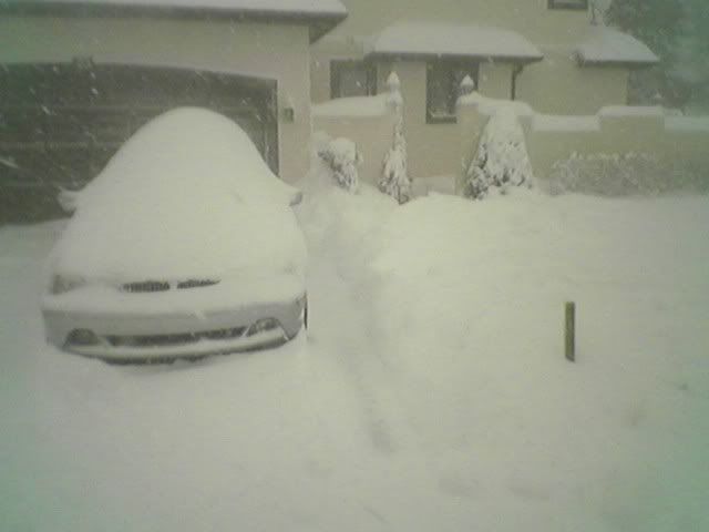 http://img.photobucket.com/albums/v79/x_iliohan/Snow3.jpg