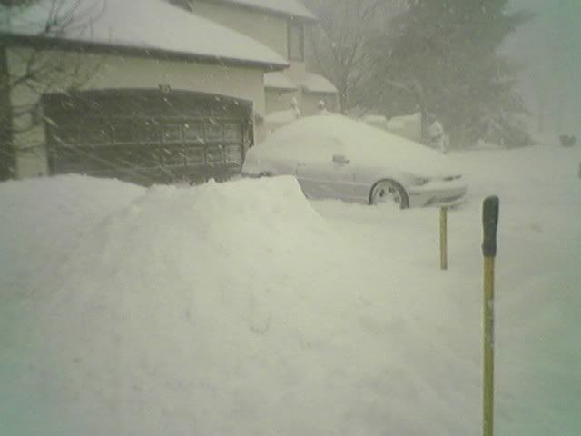 http://img.photobucket.com/albums/v79/x_iliohan/snow2.jpg