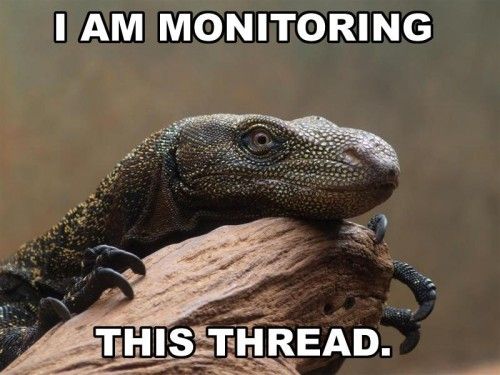 monitoring_this_thread_zps5f3ca965.jpg