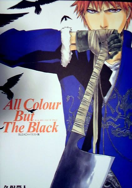 bleachartbook.jpg