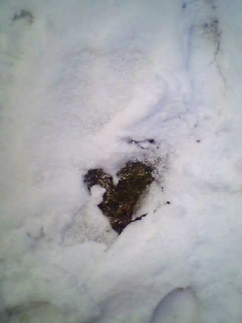 A heart that melted in the snow . We didn't make this I promise . This was taken in our backyard .