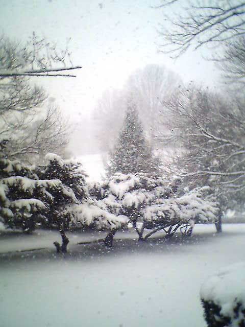 This was taken from my porch looking out into the front yard and driveway .