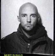 Read the Goddamn caption I added! Come on, Moby is bald! Is it not fucking obvious? He is BALD!!! HE HAS NO HAIR!!!!!!!! Seriously.