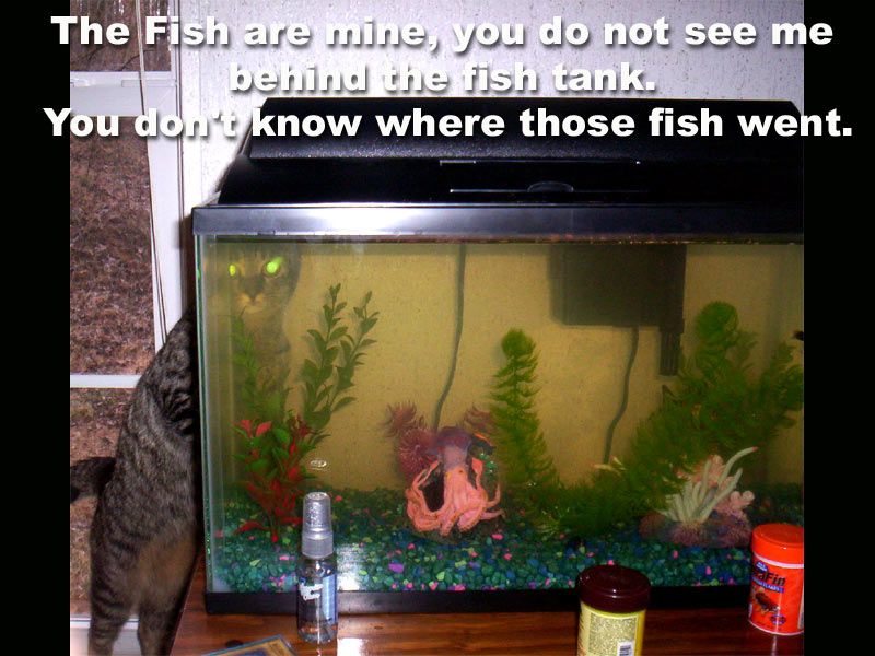 fishtank.jpg