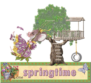 Spring Time Pictures, Images and Photos