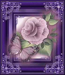 Purple Butterly Rose