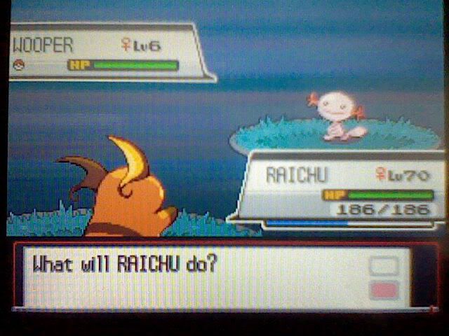 shinywoop1.jpg