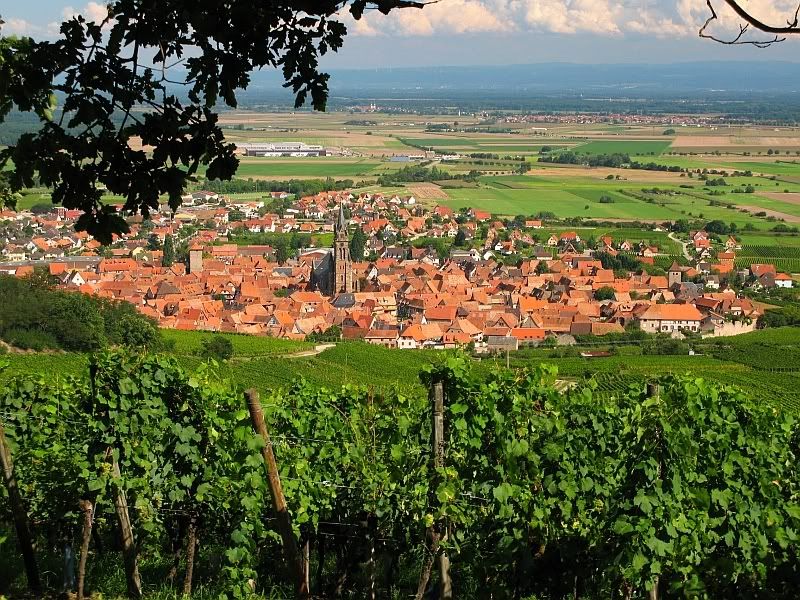 http://img.photobucket.com/albums/v81/bmuller/Alsace/Medium/IMG_0780_M.jpg