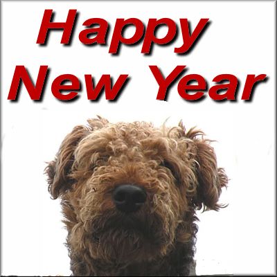 http://img.photobucket.com/albums/v81/seekyfind/newyear.jpg