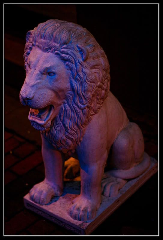 IMAGE: http://img.photobucket.com/albums/v82/Atrius/Downtown-0181.jpg