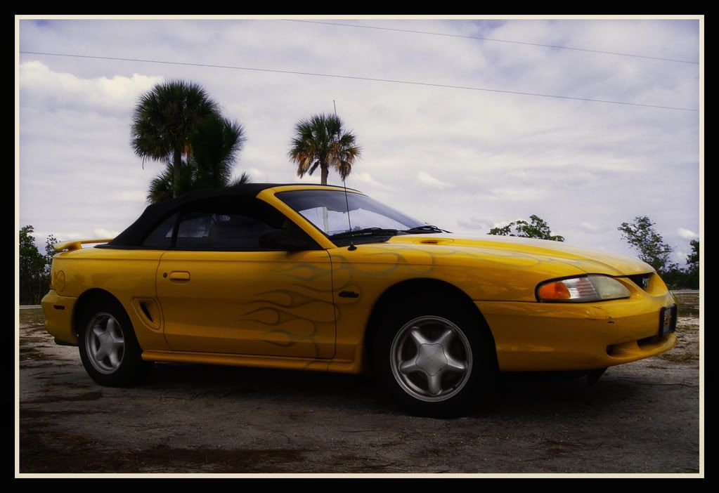 IMAGE: http://img.photobucket.com/albums/v82/Atrius/mustang.jpg