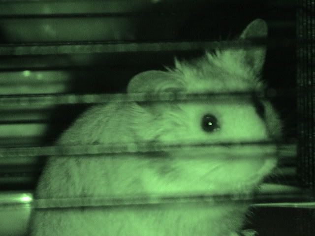 Image hosted by Photobucket.com