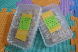 Paola's Lactation Cookies